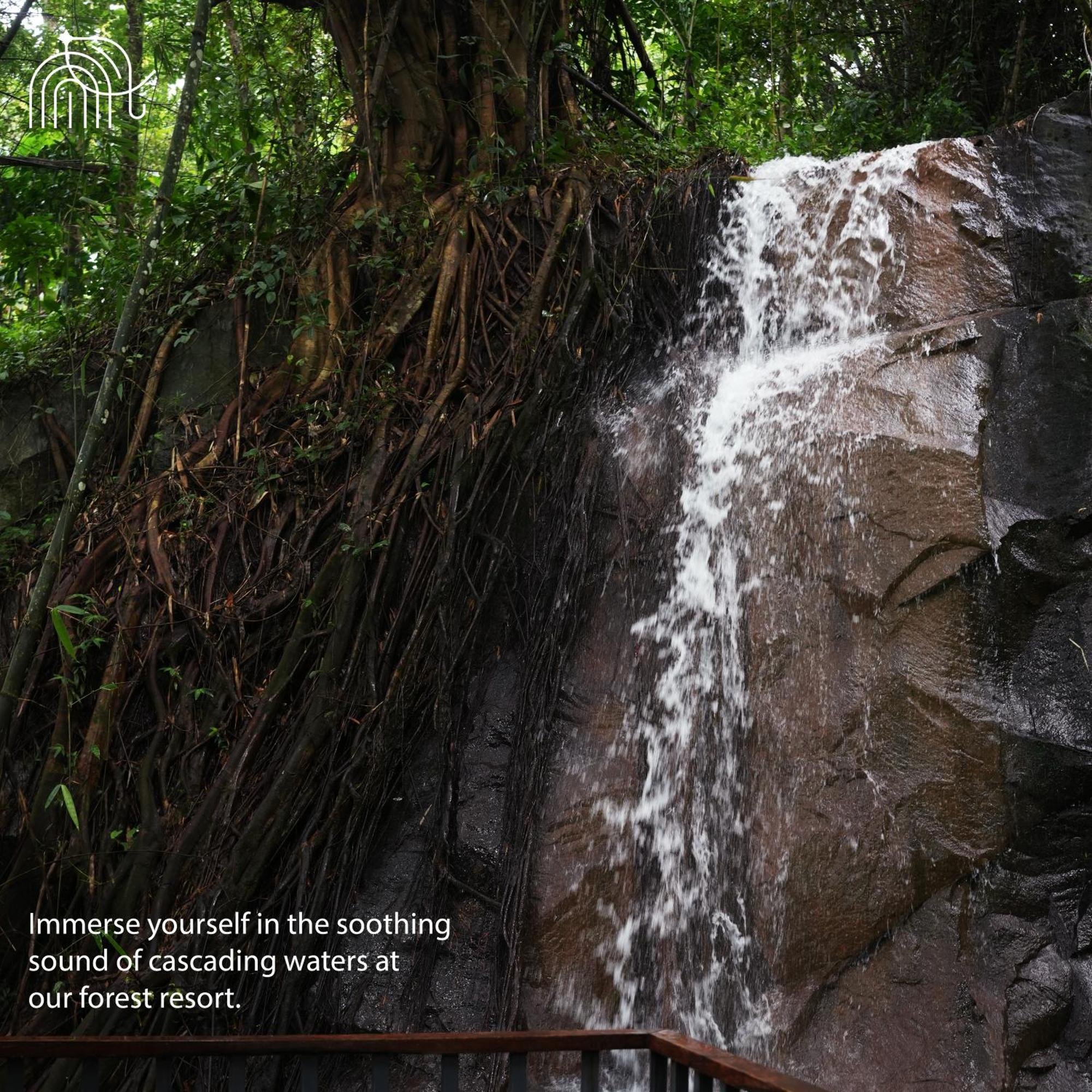 Wayanad Silverwoods Forest Resort & Spa Padinjarathara Eksteriør bilde