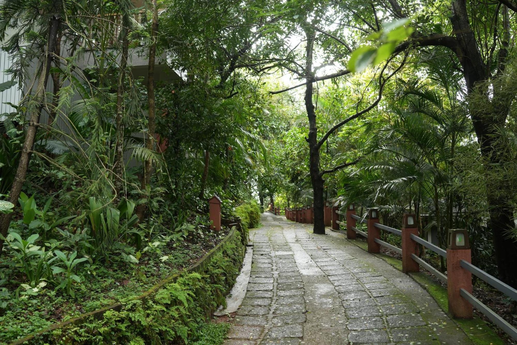 Wayanad Silverwoods Forest Resort & Spa Padinjarathara Eksteriør bilde