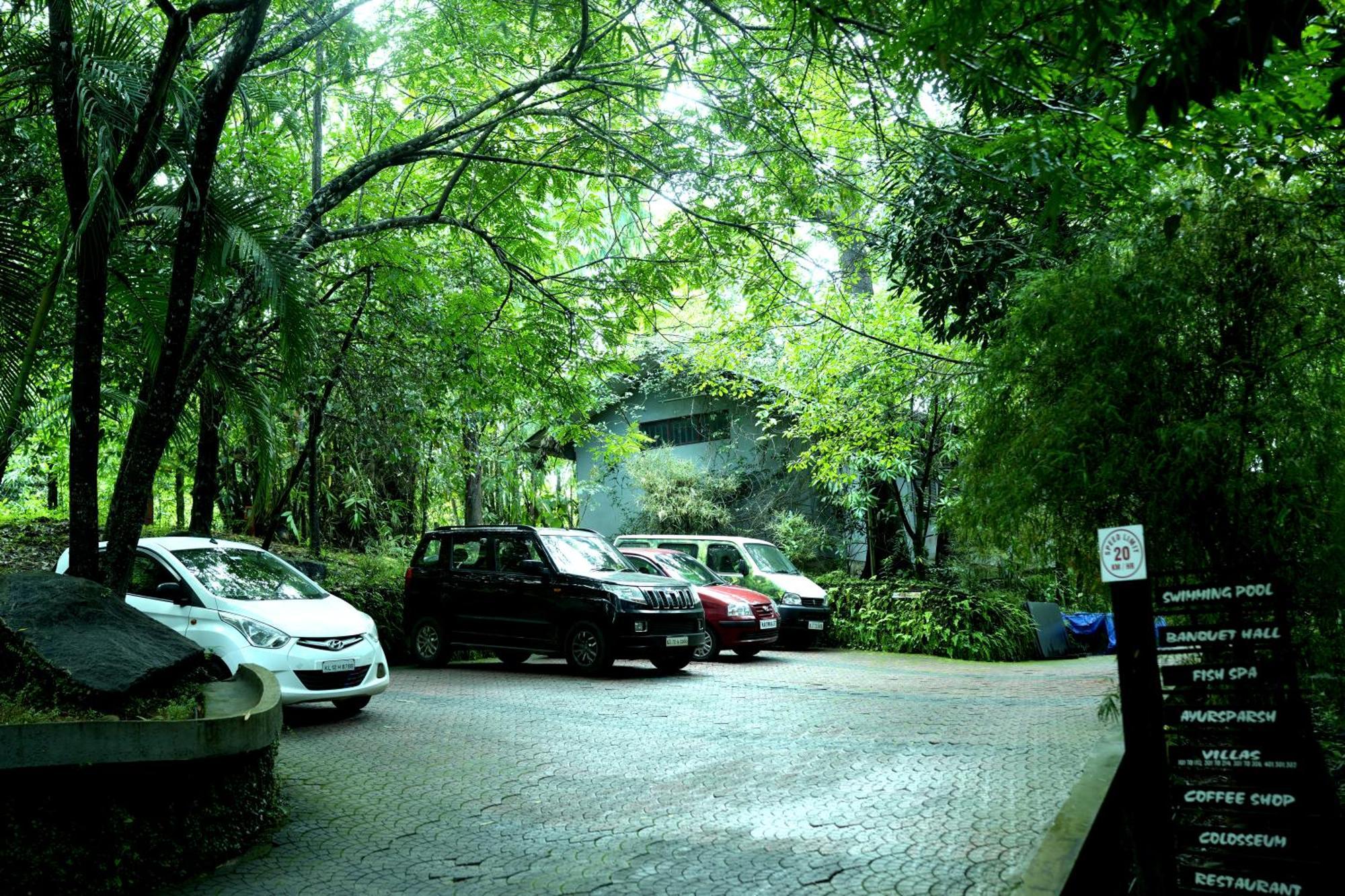 Wayanad Silverwoods Forest Resort & Spa Padinjarathara Eksteriør bilde