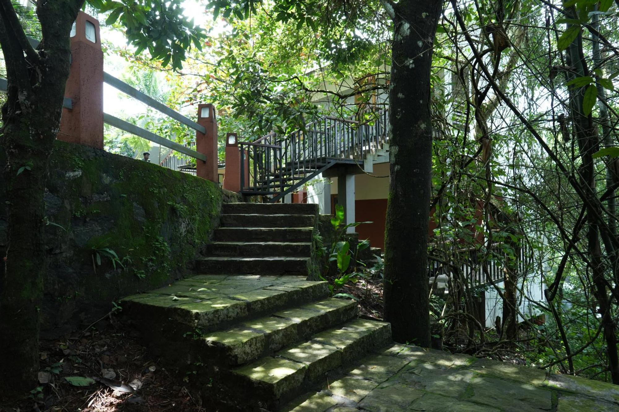 Wayanad Silverwoods Forest Resort & Spa Padinjarathara Eksteriør bilde